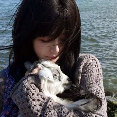 倾爱